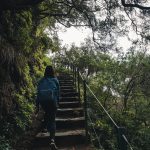 Treppe auf dem Wanderweg Levada 25 Fontes, Madeira