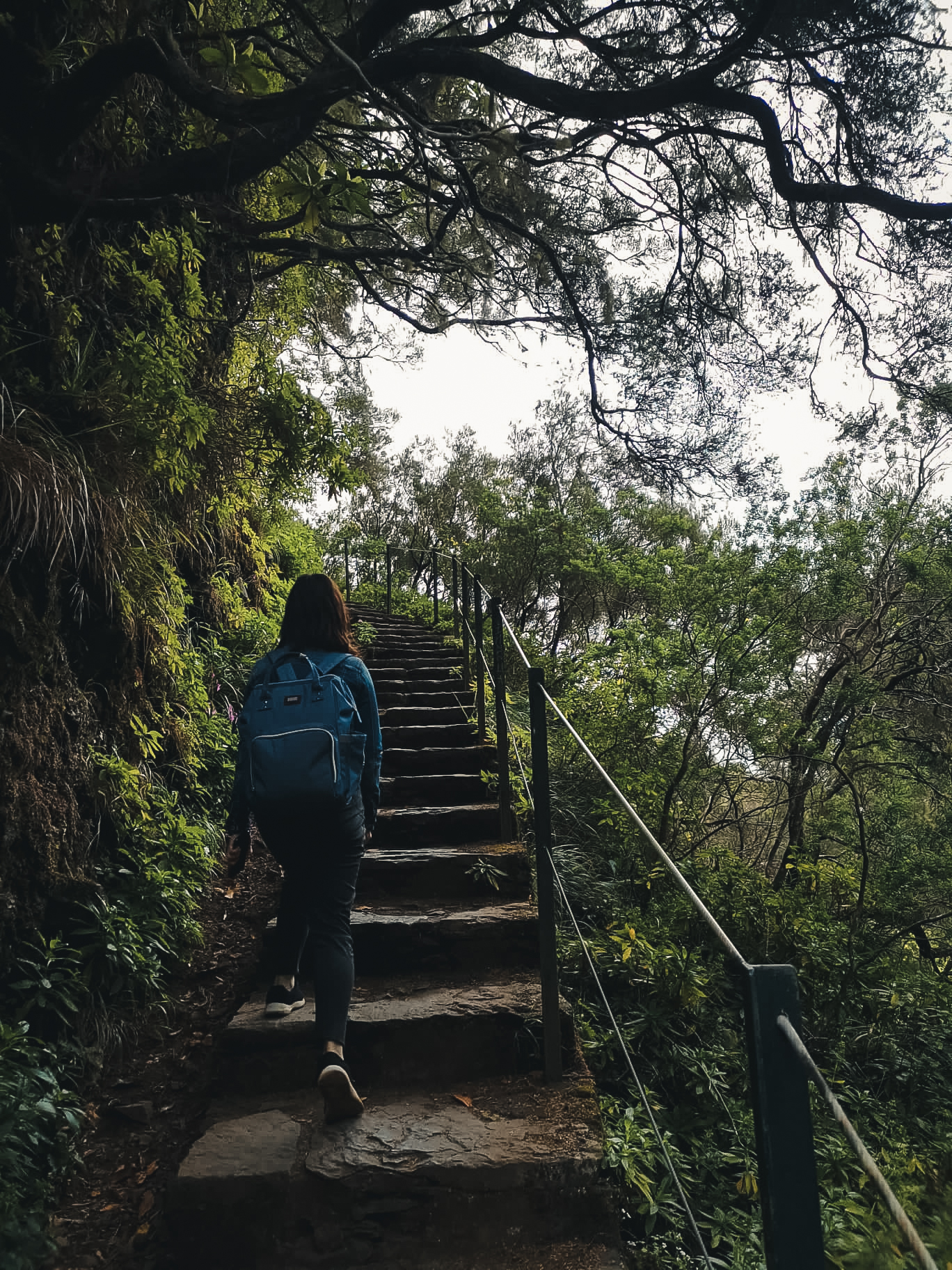 Treppe auf dem Wanderweg Levada 25 Fontes, Madeira