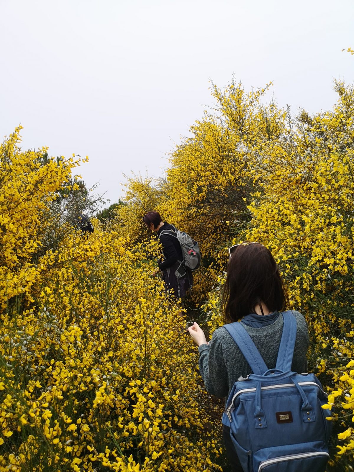 Wandern in der Natur Madeiras