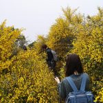 Wandern in der Natur Madeiras