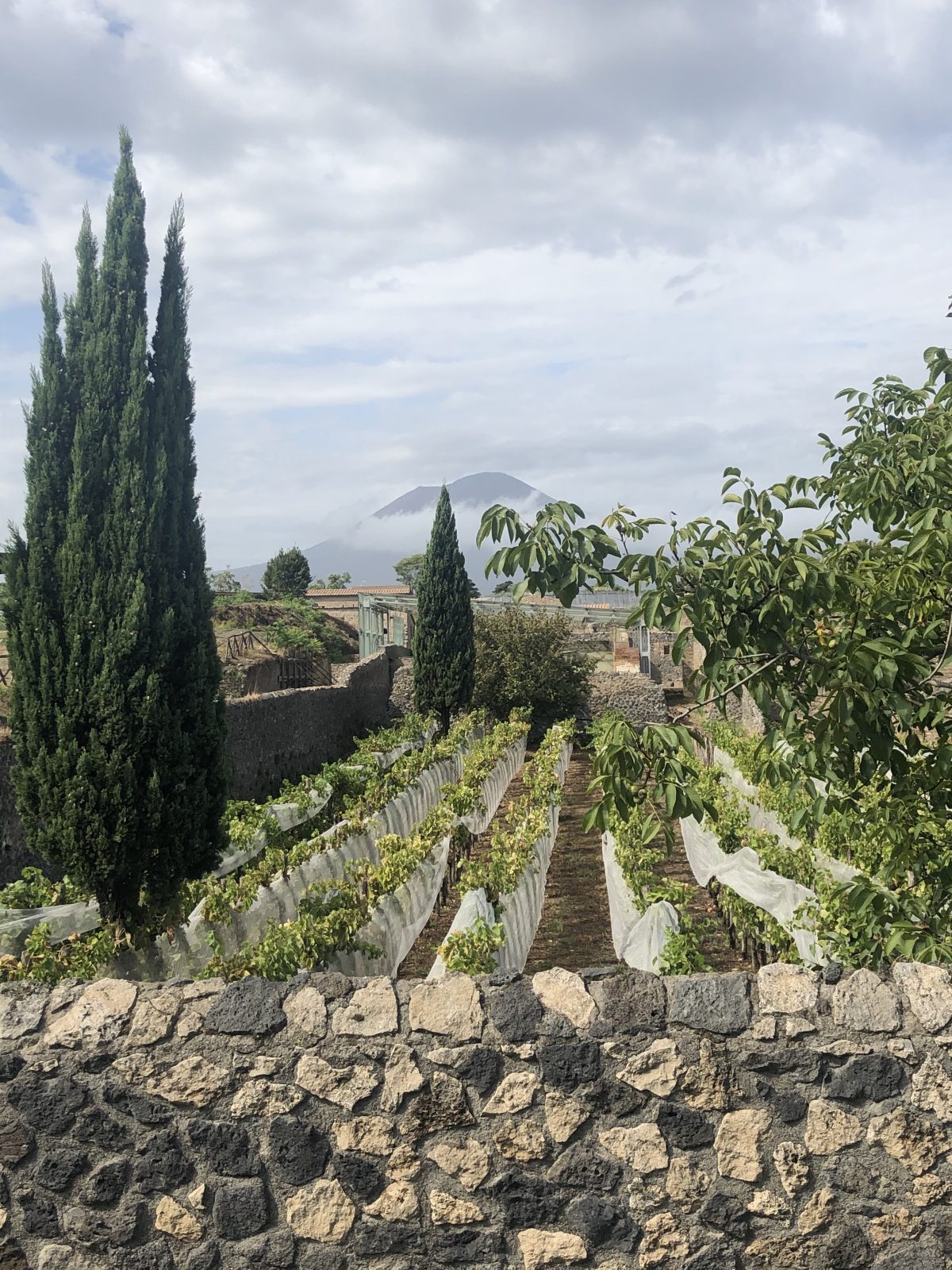 UNESCO-Weltkulturerbestätte Pompeji mit Vesuv im Hintergrund Pompeji, Italien mit Vesuv im Hintergrund