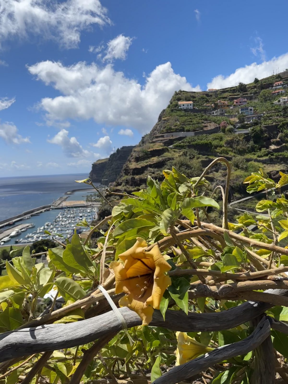 Blick auf das Meer und den Hafen von Calheta auf Madeira