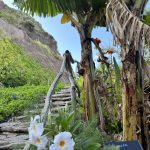 Blühender Garten des Hotels Saccharum auf Madeira