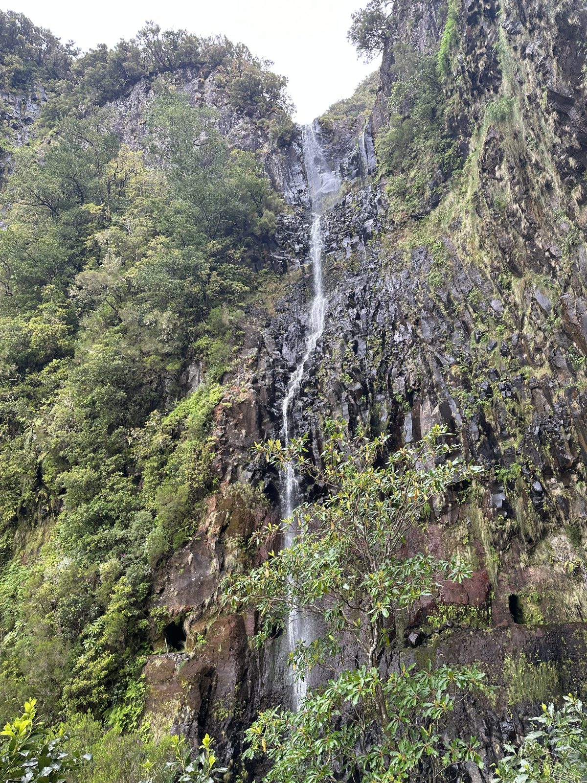 Risco Wasserfall Madeira