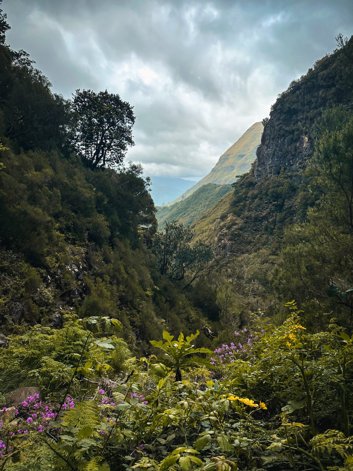 Blick auf die grüne Bergwelt von Madeira