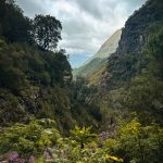 Blick auf die grüne Bergwelt von Madeira