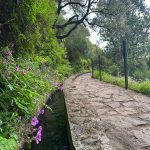 Levada auf Madeira
