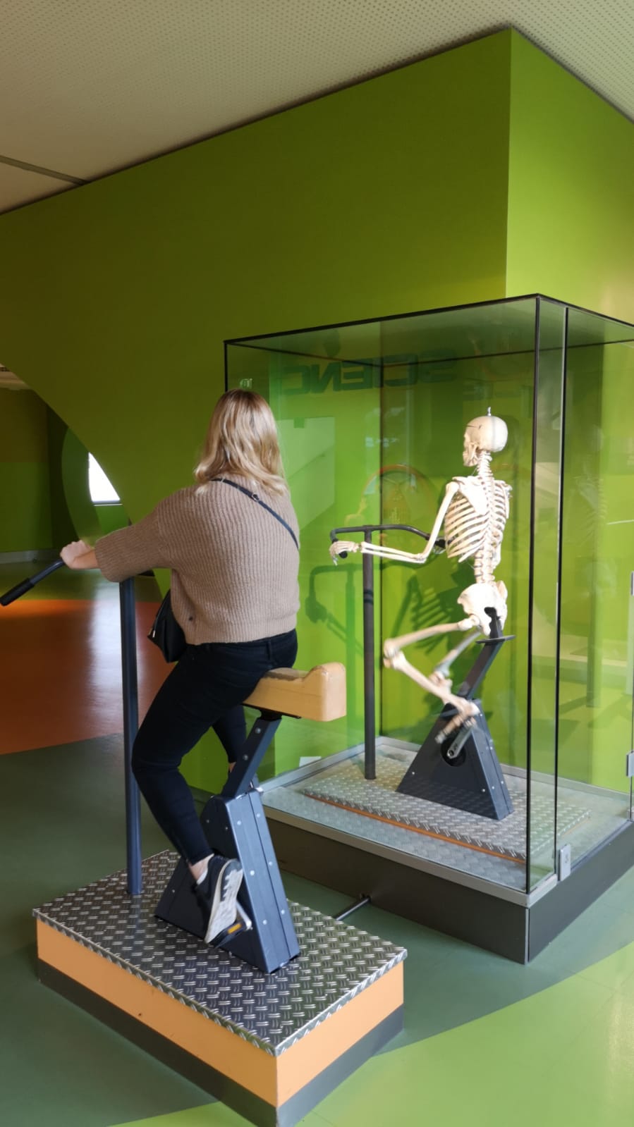 Radfahren dank Regen nur indoor im Haus der Natur möglich ;) Italien-Roadtrip: Route, Highlights & Tipps