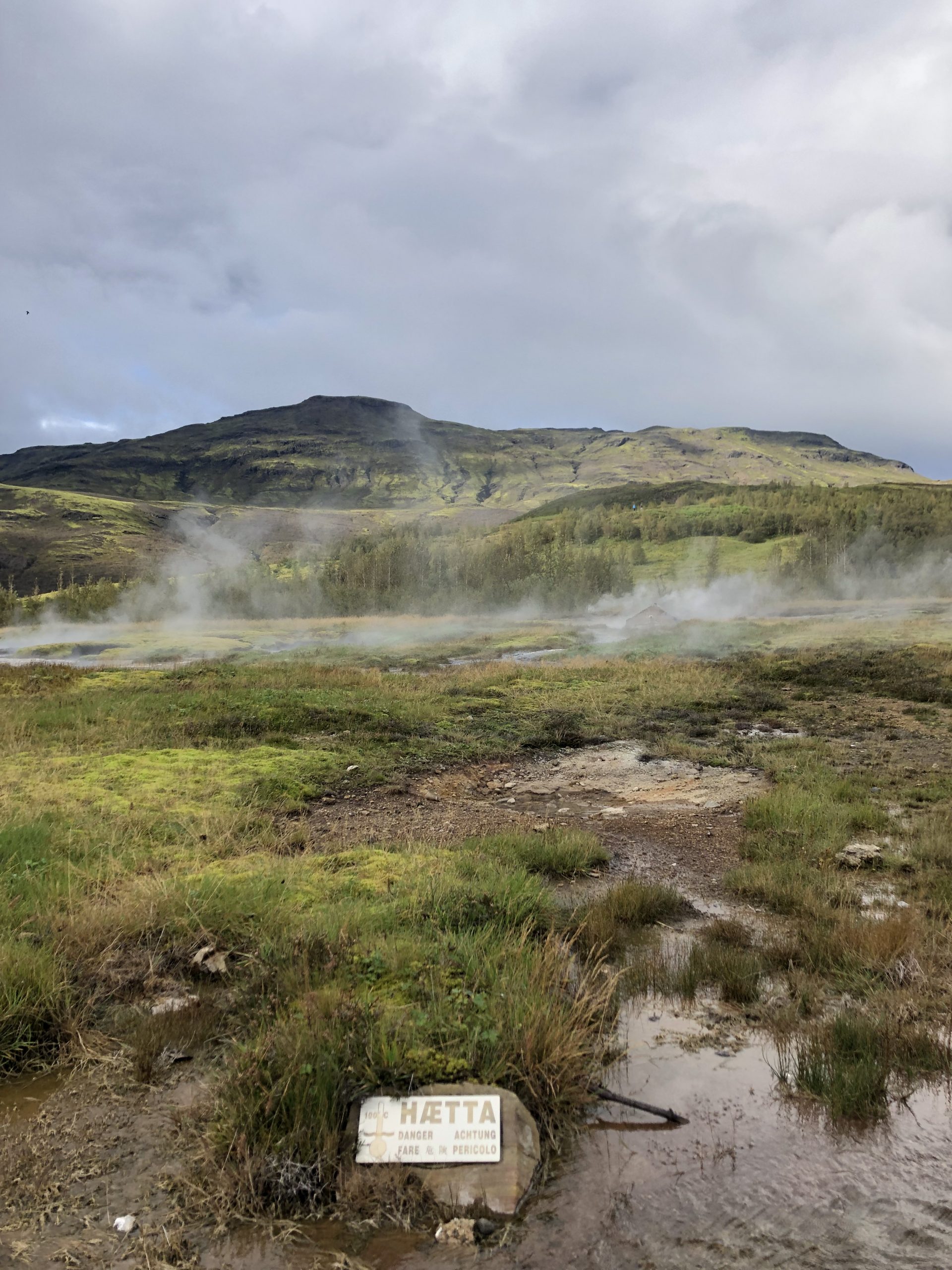 Haukadalur Geothermalgebiet (Golden Circle Island)