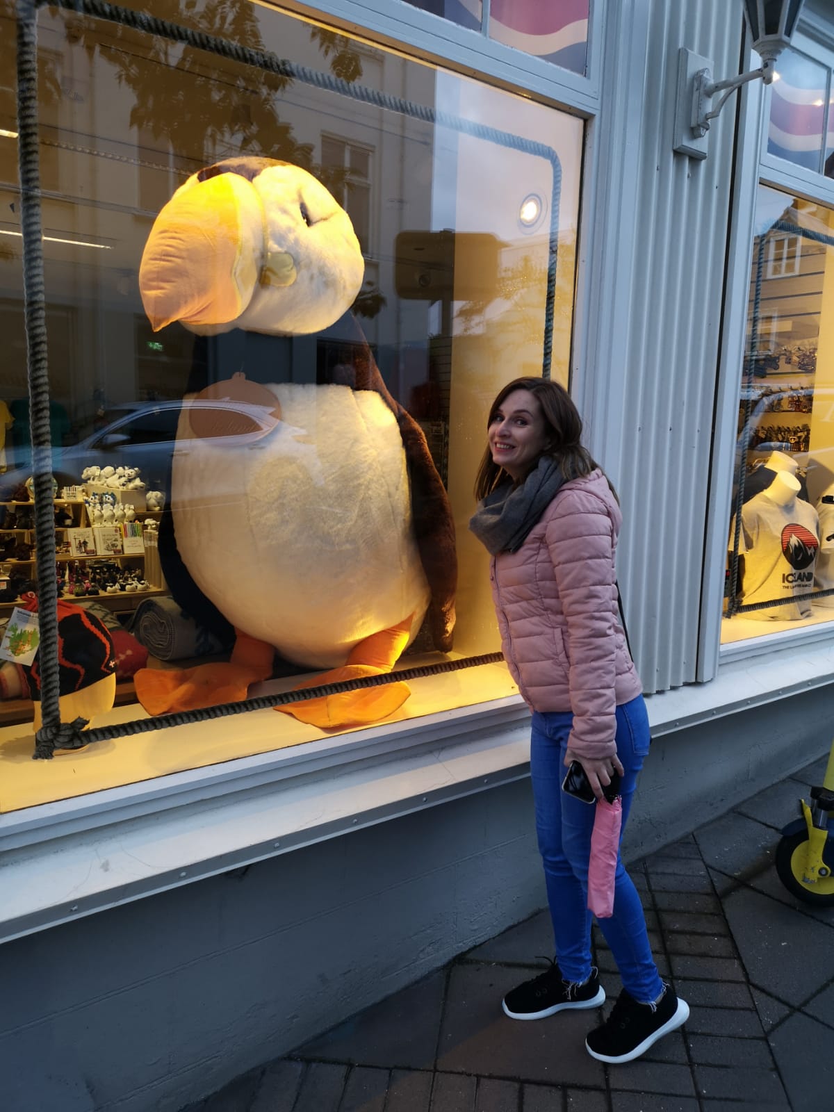 Schaufenster mit Puffin in Reykjavík, Islands Hauptstadt