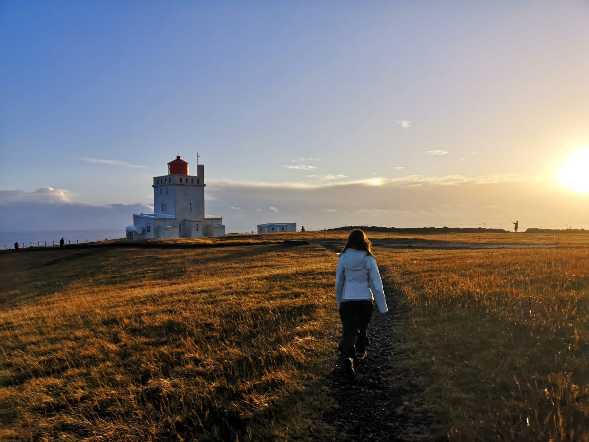 Vogelfelsen Dyrholaey mit Leuchtturm, Island
