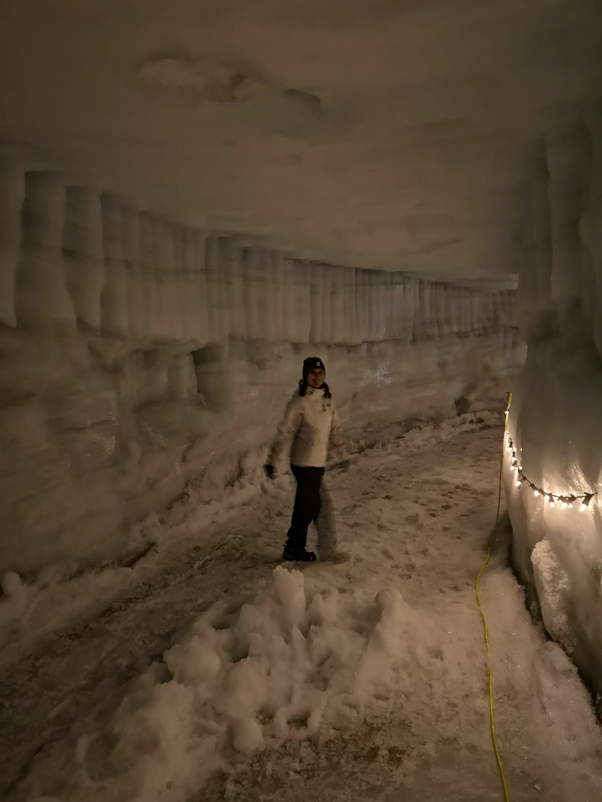 Gletscher-Tour in Island