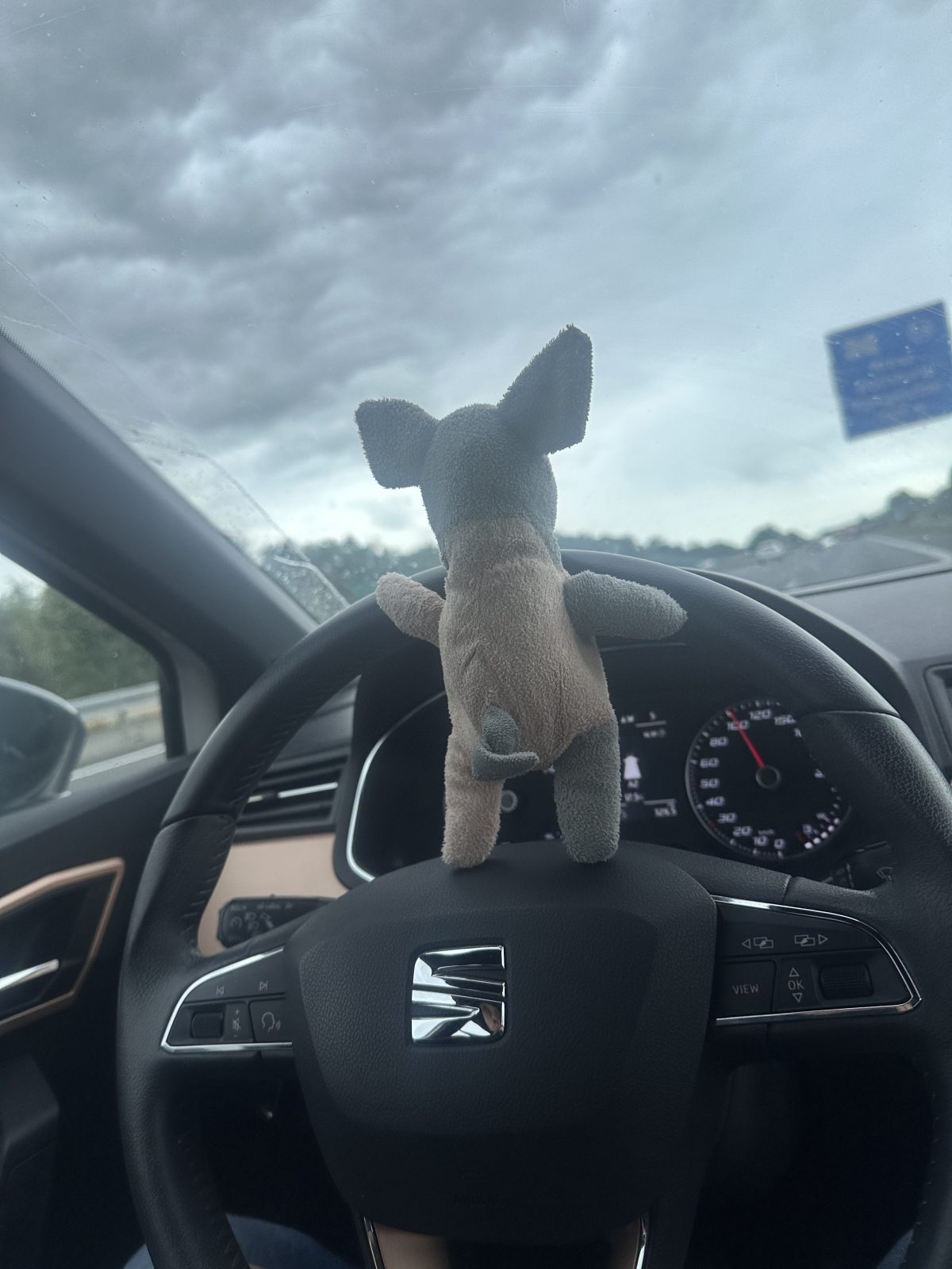 Highlight für unsere Tochter: das Kuscheltier fährt sie in den Urlaub Kuscheltier im Auto