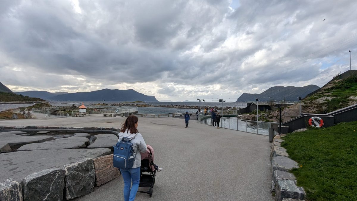 Im Außenbereich des Aquariums leben neben Robben auch Pinguine und Otter Mini Norwegen-Roadtrip für Familien
