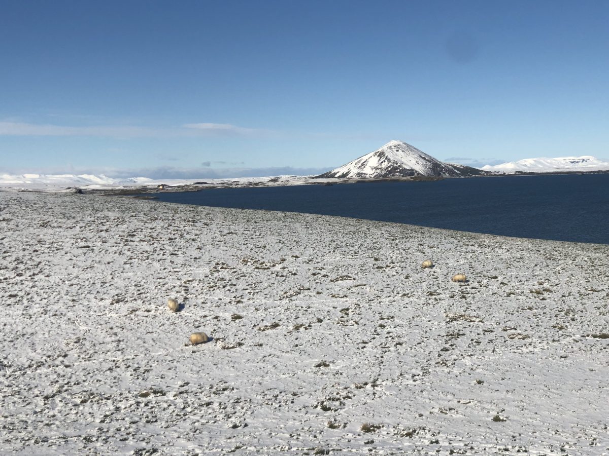 Island-Roadtrip entlang der Ringstraße