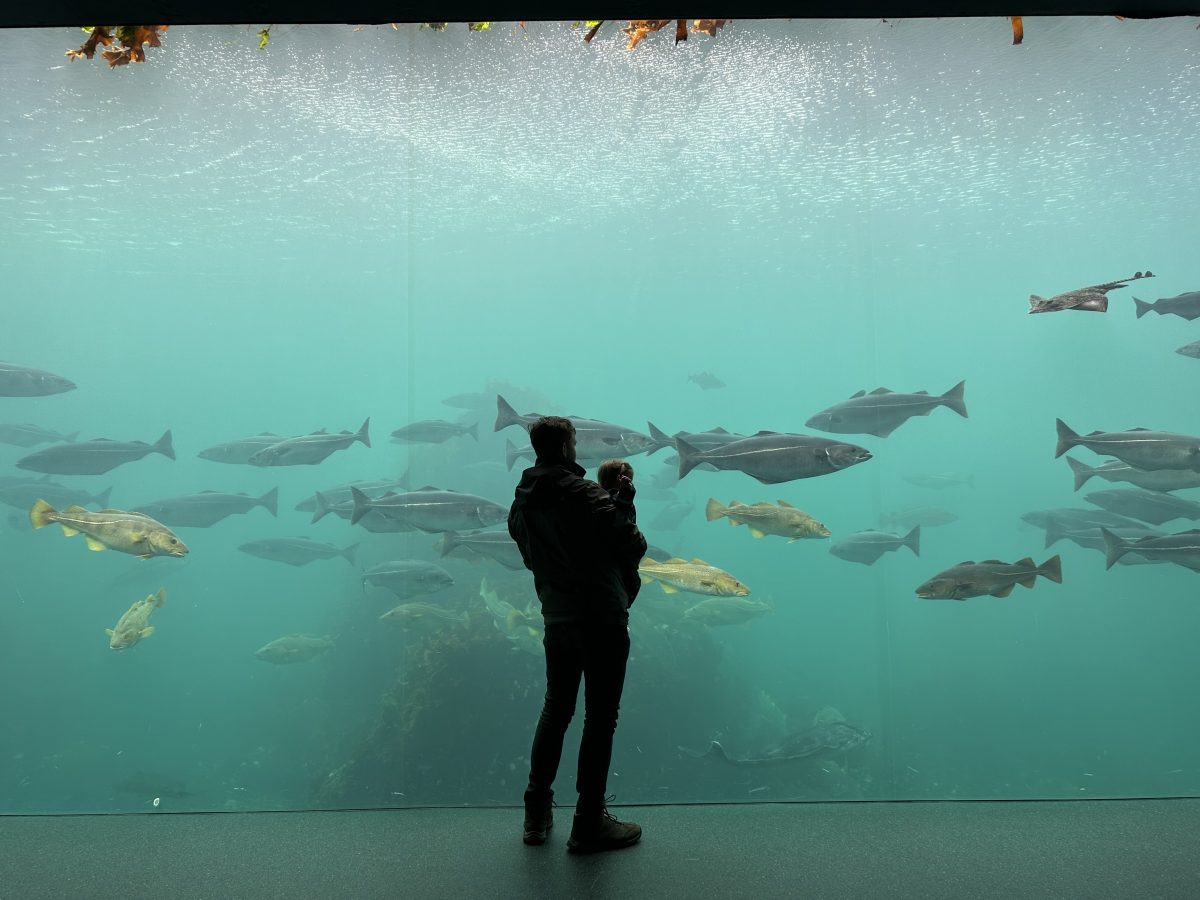 Das Atlantikbecken ist übrigens das größte Salzwasserbecken Europas Mini Norwegen-Roadtrip für Familien