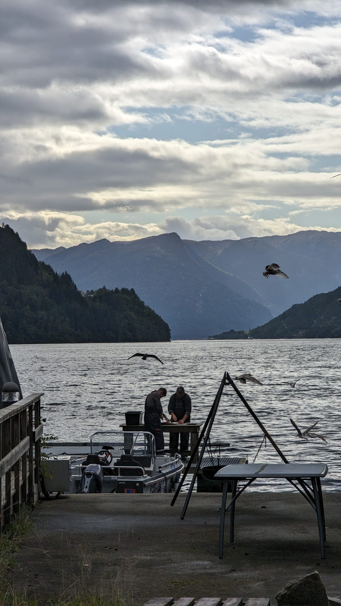 Norwegen pur: Berge, Fjorde und frisch gefangener Fisch ;) Mini Norwegen-Roadtrip für Familien