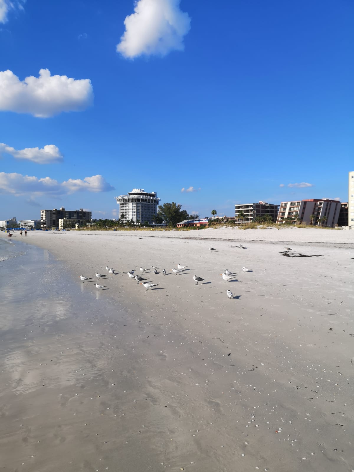 Strandtag am warmen Golf von Mexiko 5 Ausflugsziele für Familien in Florida (Region Orlando)