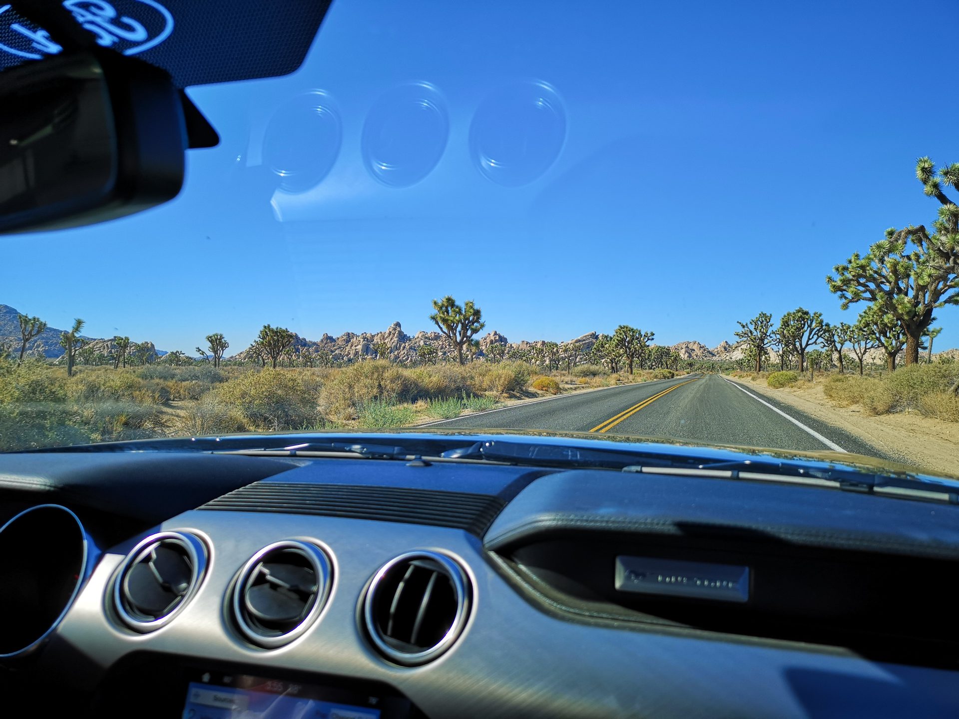 Roadtrip Westküste USA: Fahrt durch den Joshua Tree Nationalpark