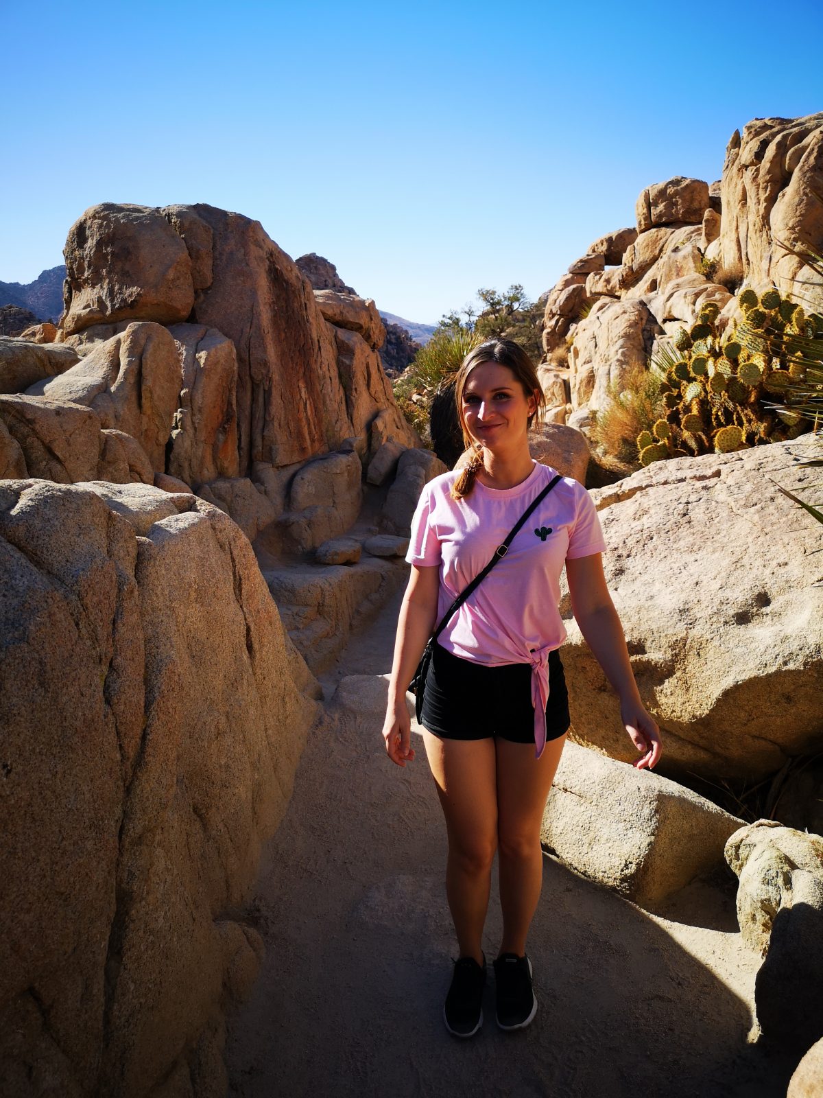 Roadtrip USA Westküste: Wanderung im Joshua Tree Nationalpark