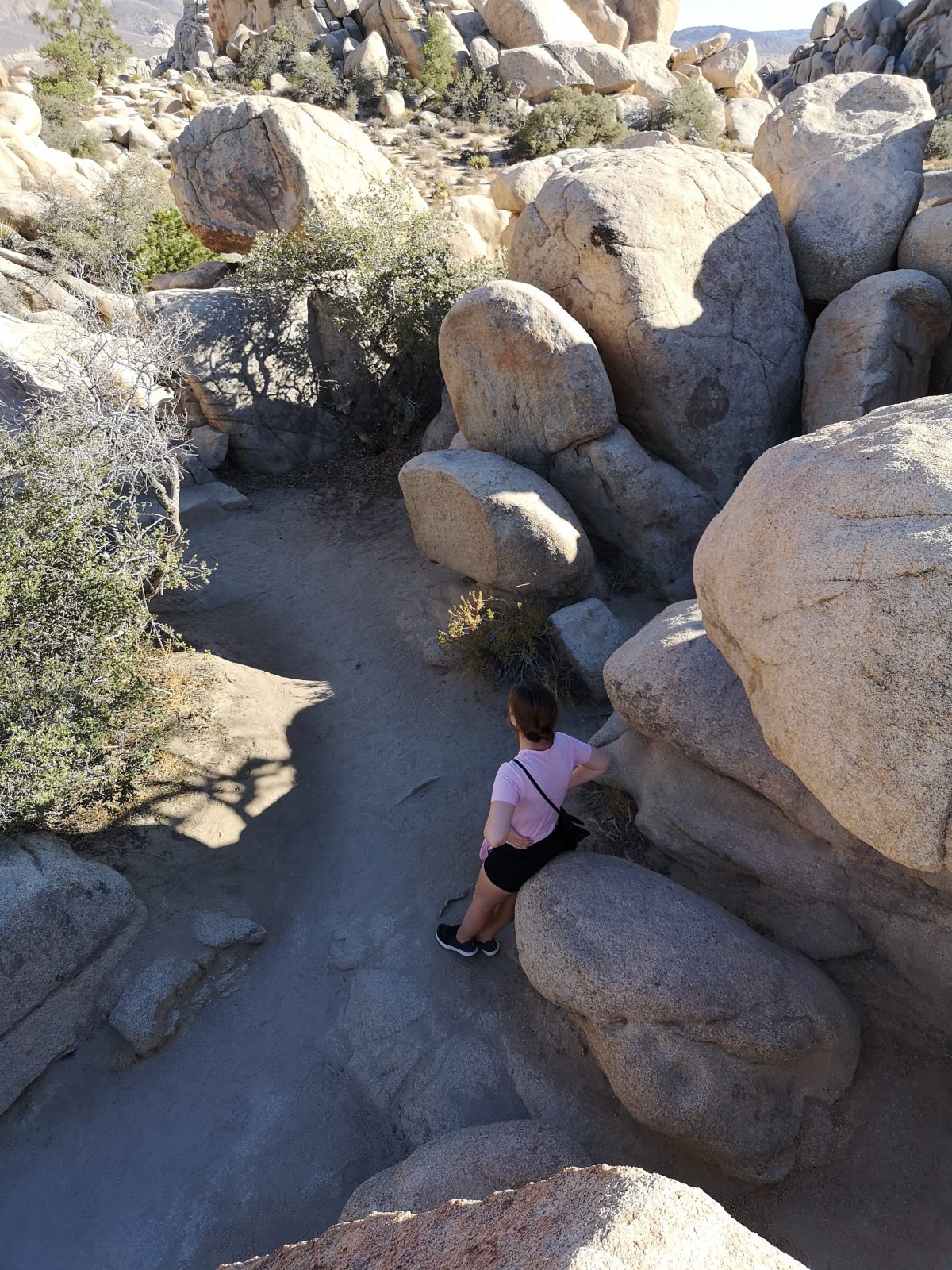 Roadtrip USA Westen: Joshua Tree Nationalpark