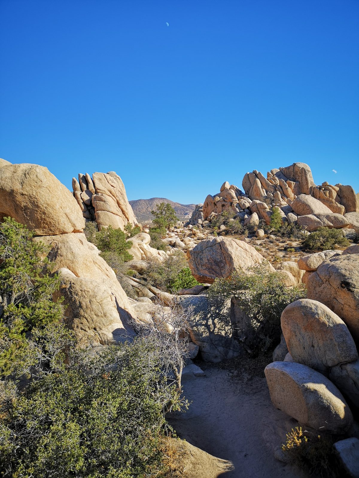 Roadtrip USA Westküste: Steinformationen