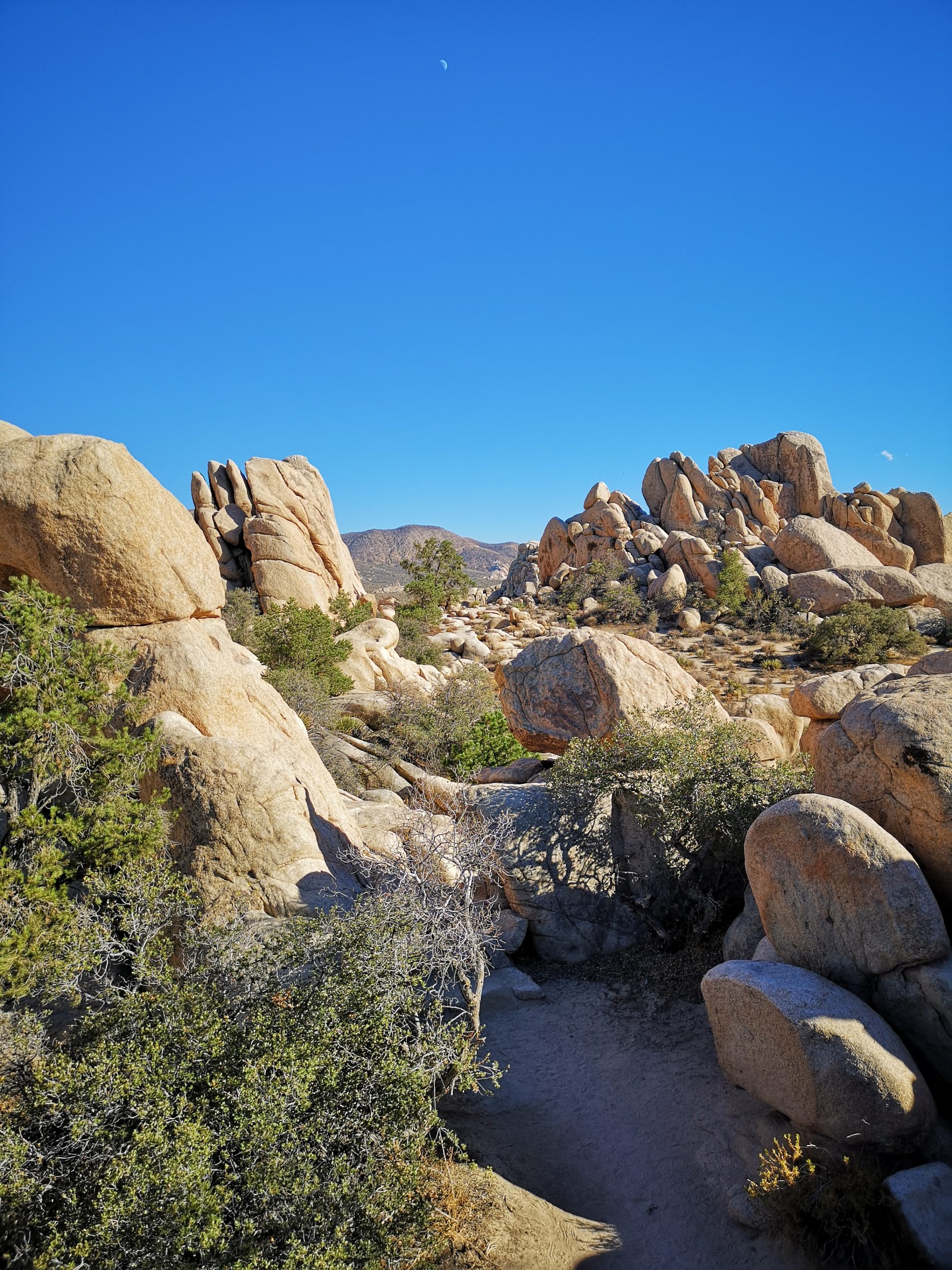 Roadtrip USA Westküste: Steinformationen