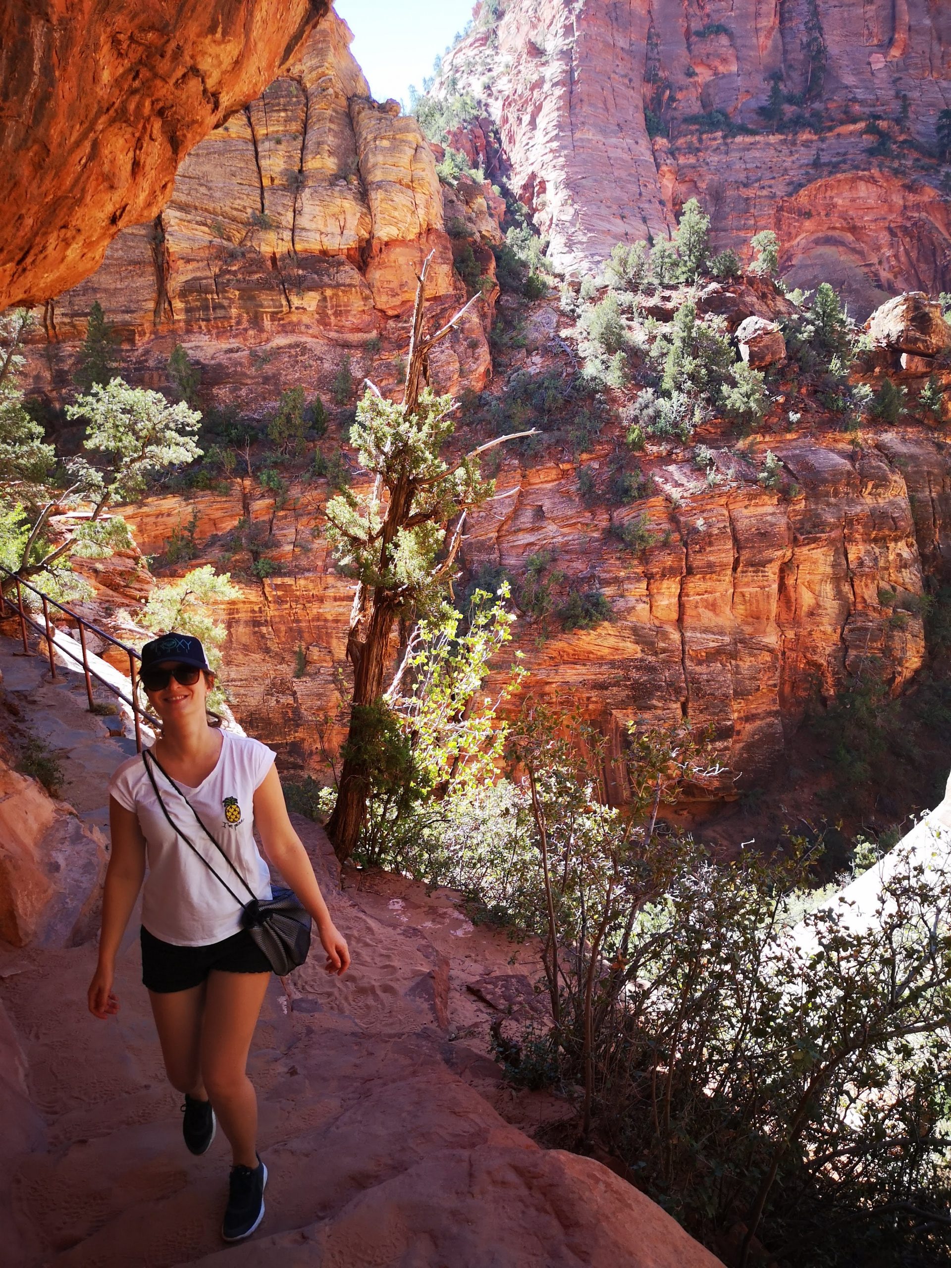 Roadtrip Westen der USA: Canyon Overlook Trail Wanderung im Zion National Park