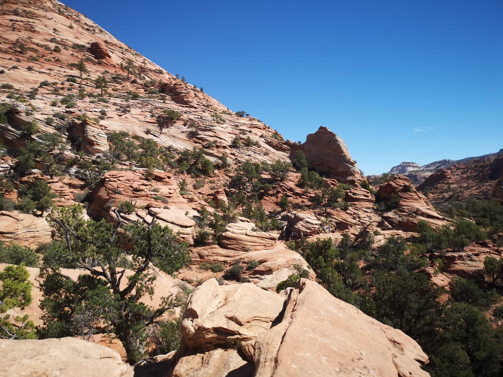 Canyon Overlook Trail, Zion Nationalpark (Roadtrip im Westen der USA)