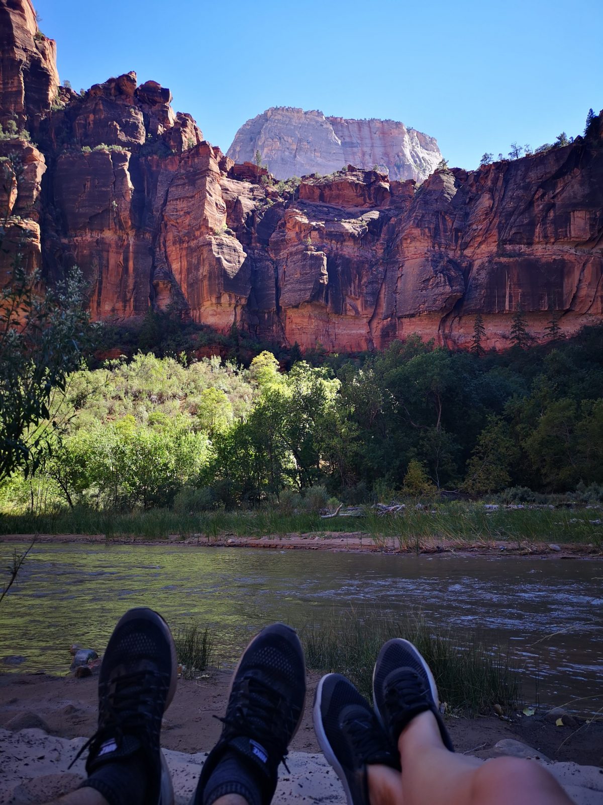 Virgin River im Zion National Park (USA Westen Roadtrip)