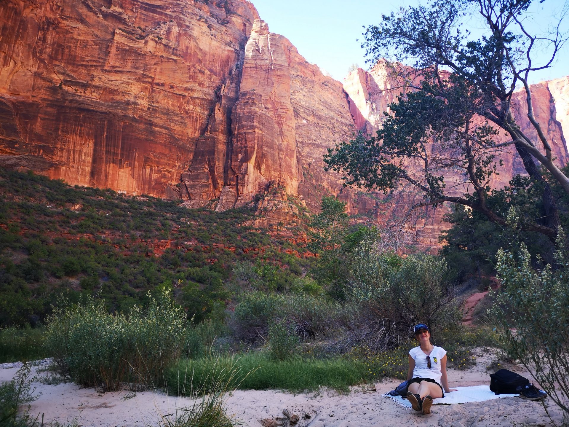 Roadtrip USA Westen: Picknick im Zion National Park