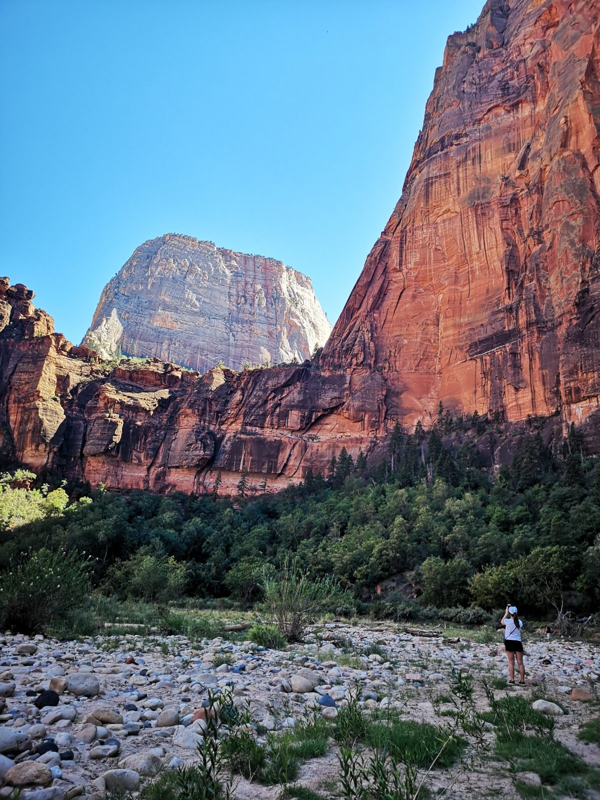 River Walk im Zion National Park (Roadtrip im Westen der USA)