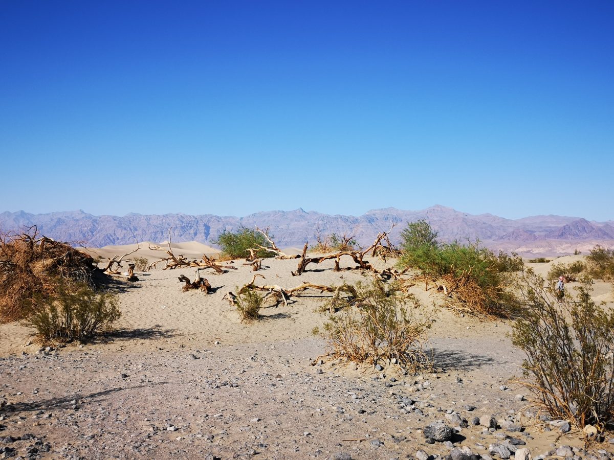 Roadtrip im Westen der USA: Death Valley