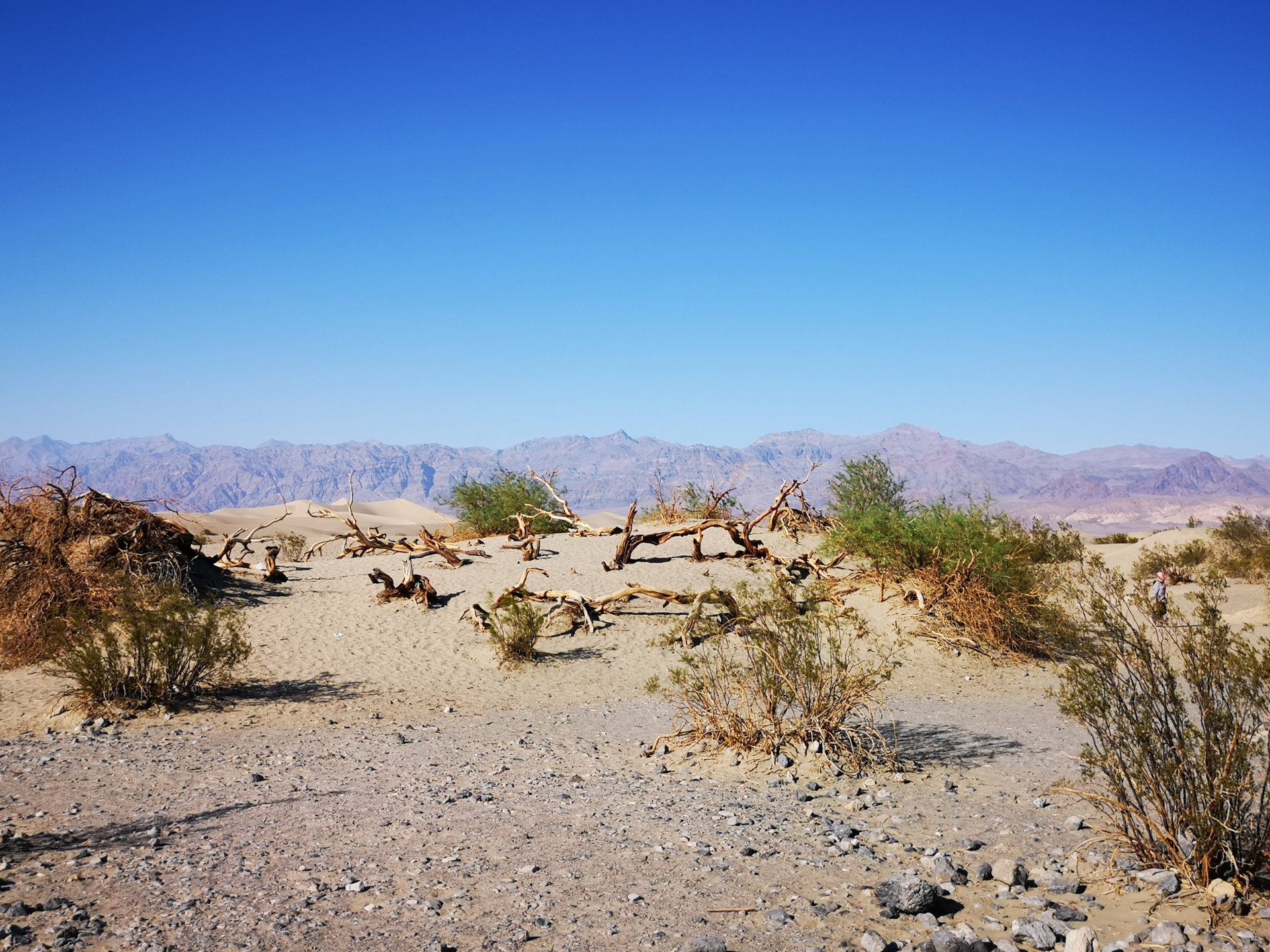 Roadtrip im Westen der USA: Death Valley