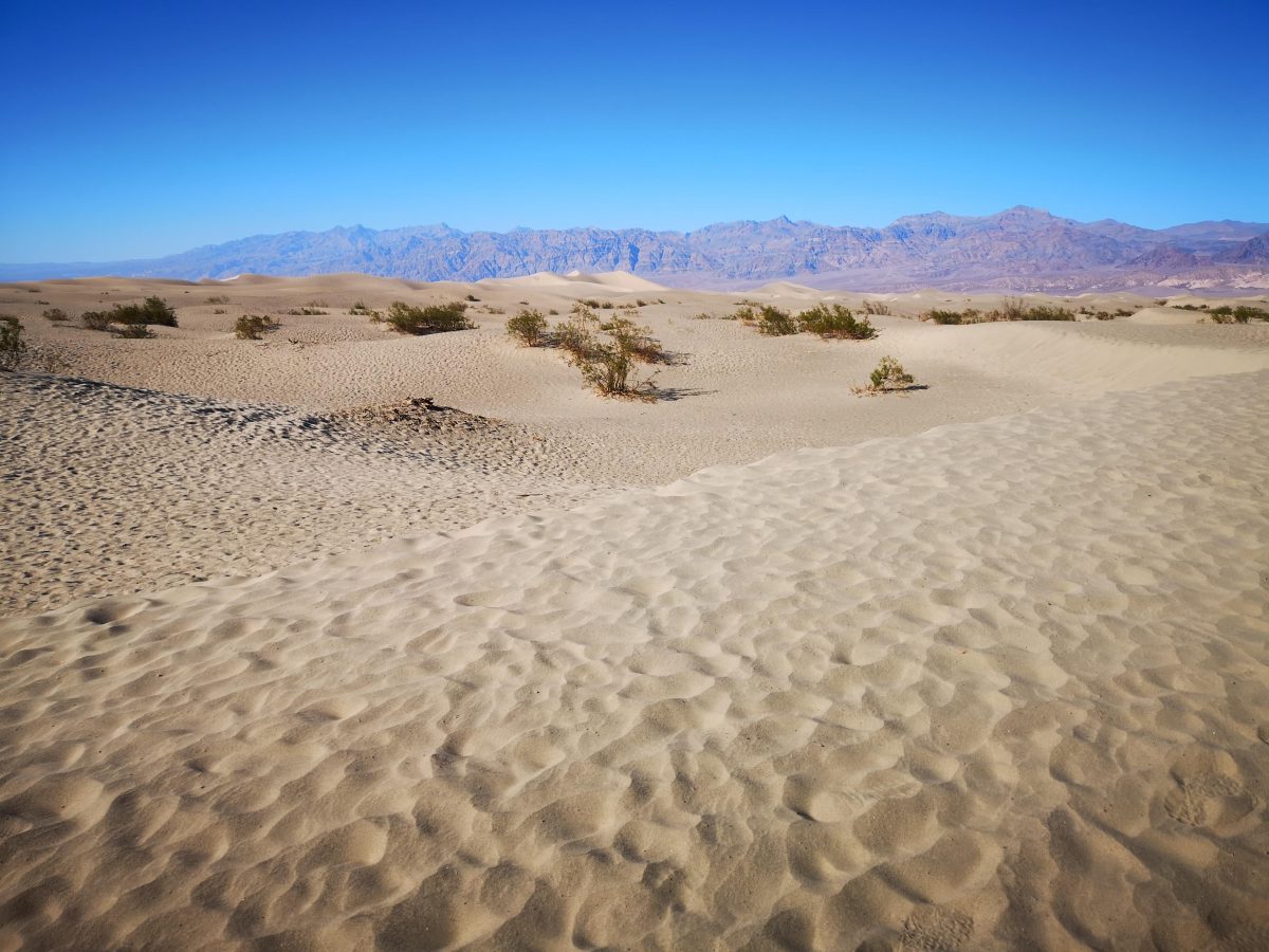 Roadtrip West-USA: Mesquite Fiats Sanddünen im Death Valley