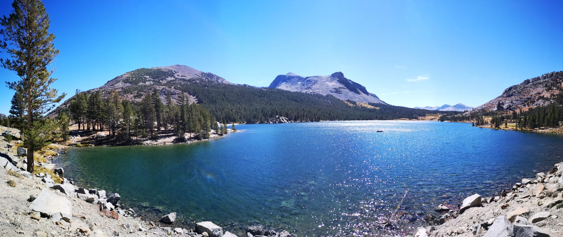 Roadtrip USA Westen: Tenaya Lake im Yosemite National Park