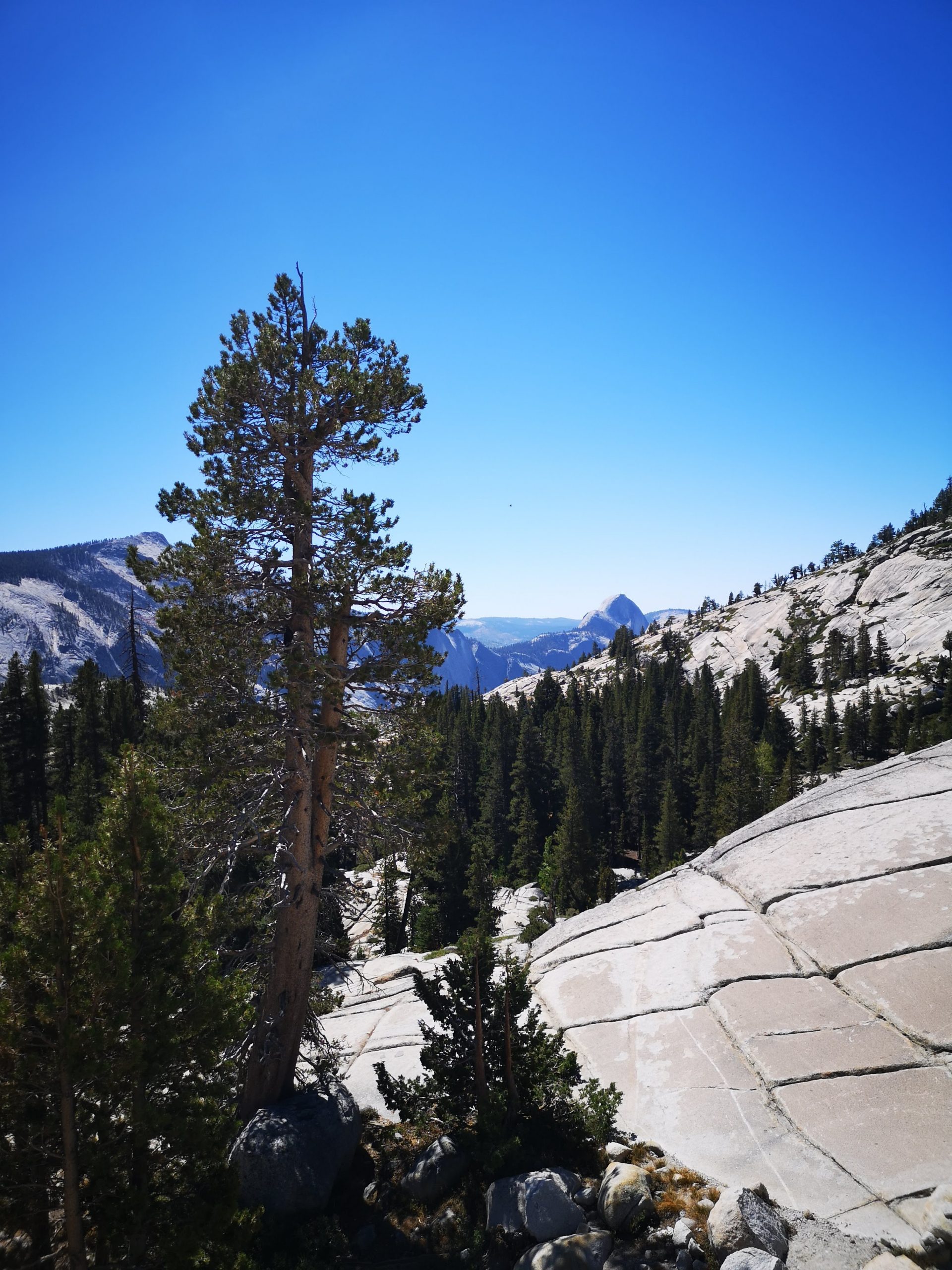 Roadtrip im Westen der USA: Olmsted Point im Yosemite National Park