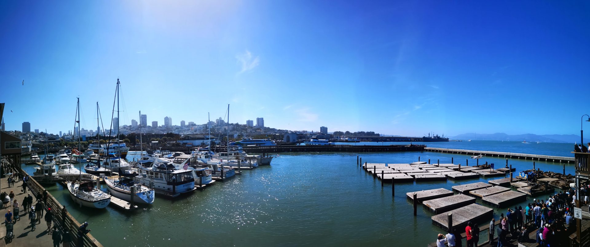USA Westen Roadtrip: San Francisco Pier 39