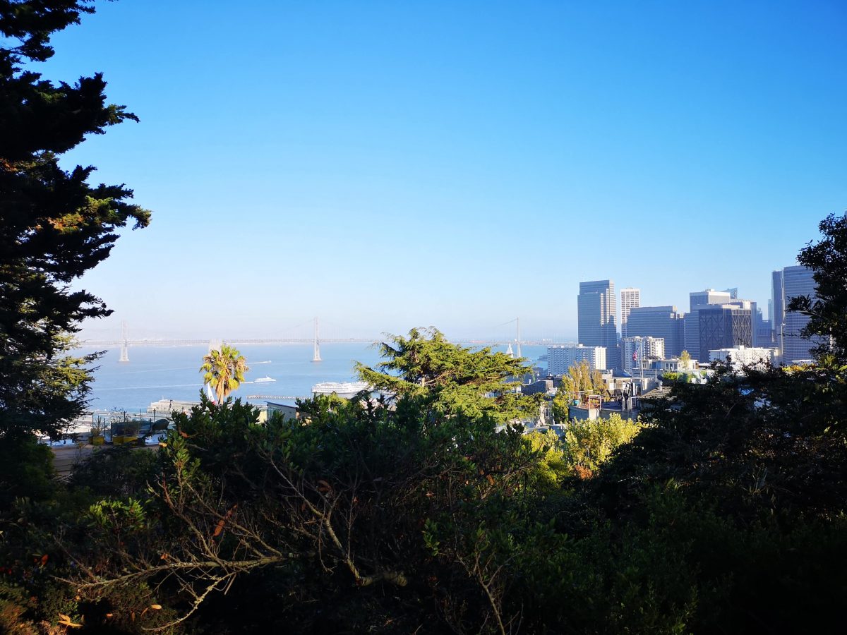 Roadtrip USA Westen: Aussicht vom Telegraph Hill auf San Francisco