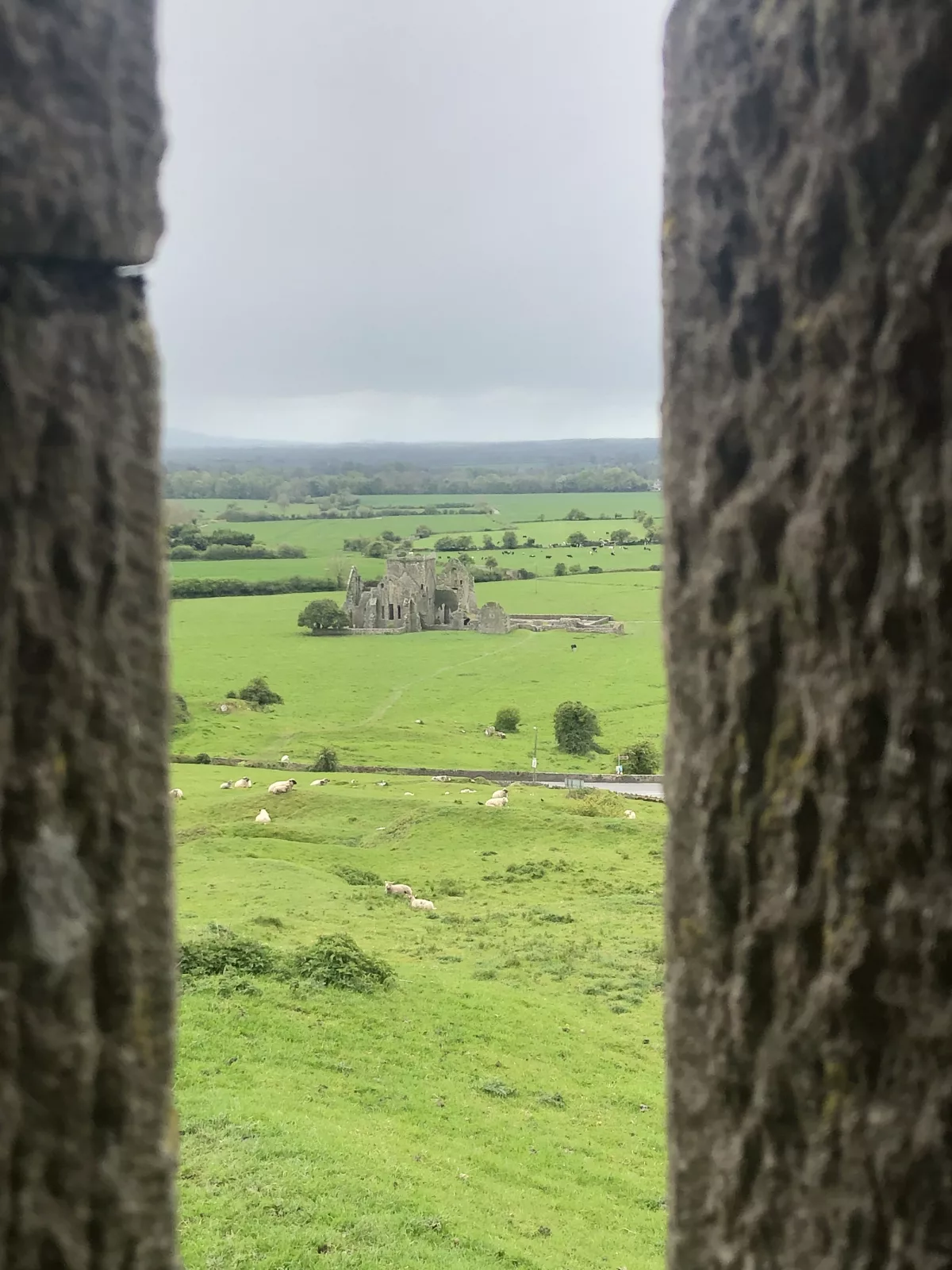 Irland Roadtrip: Ausblick vom Rock of Cashel aus