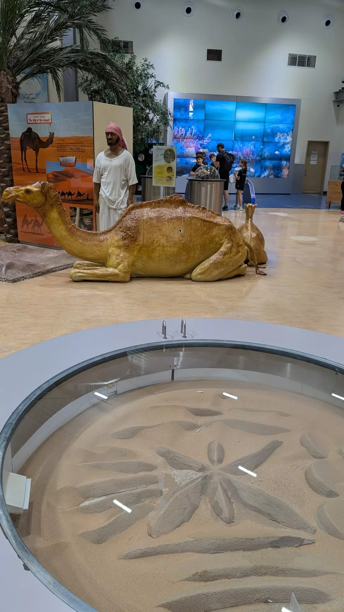 Die regionale Kultur wird im Childrens City Museum Dubai ebenso vorgestellt wie internationale Kulturen