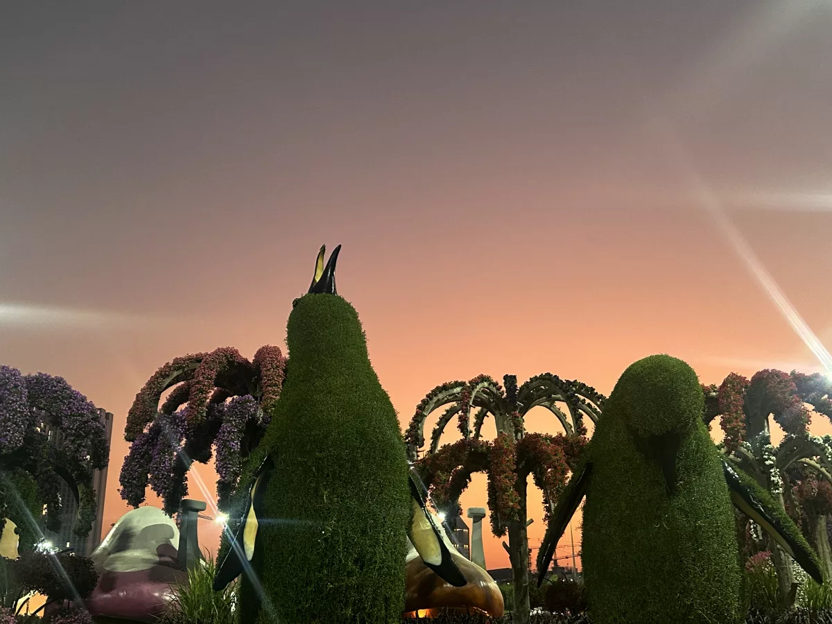 Pinguin-Figuren im Miracle Garden Dubai bei Sonnenuntergang
