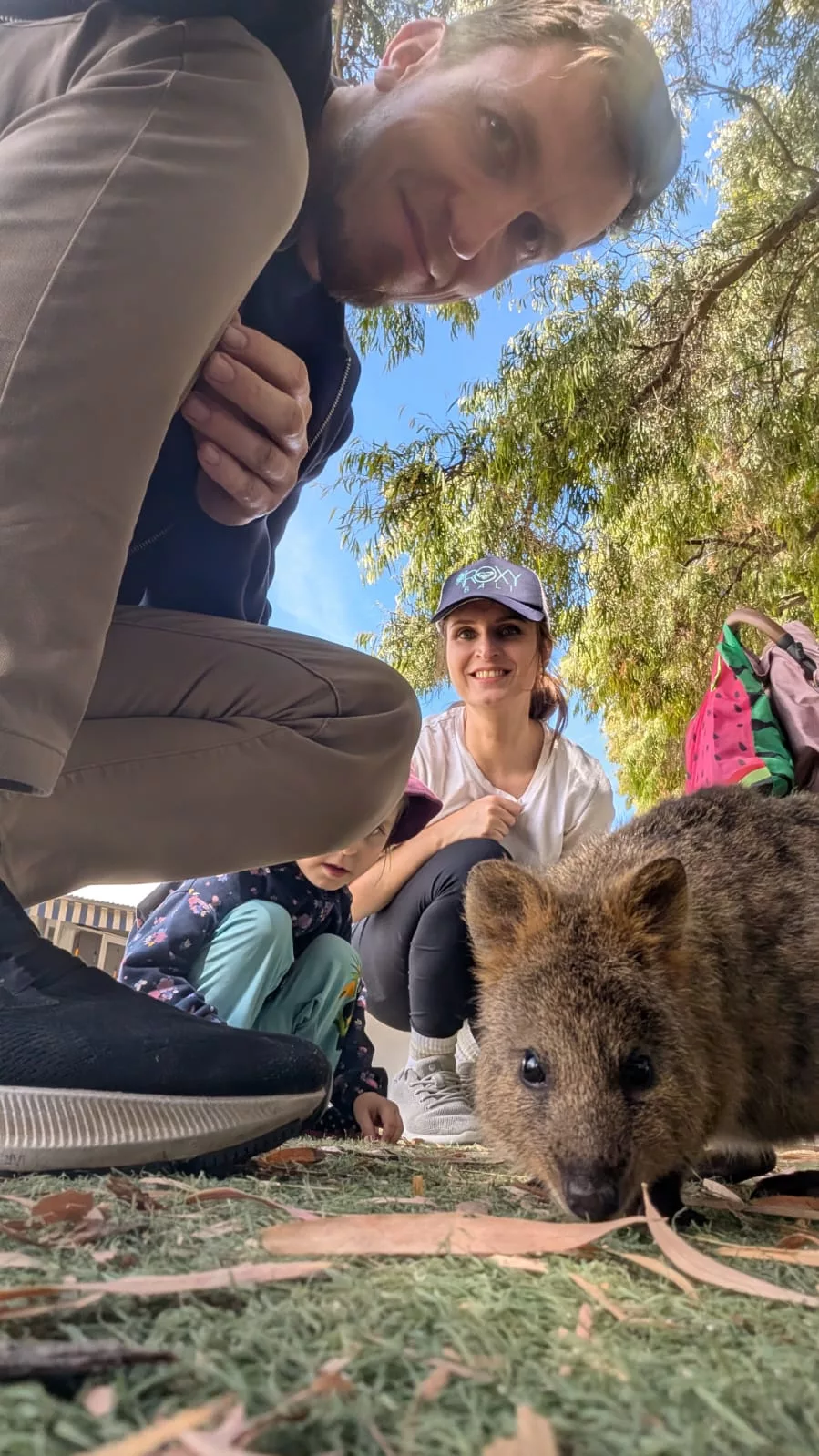 Danach posiert das Quokka noch kurz mit uns für ein Foto