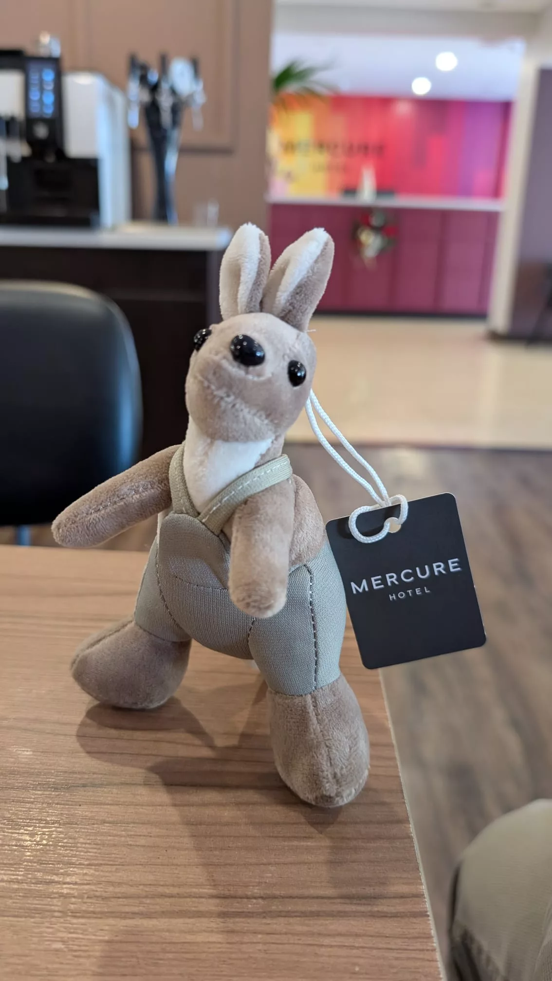 Känguru Kuscheltier als Geschenk in Australien