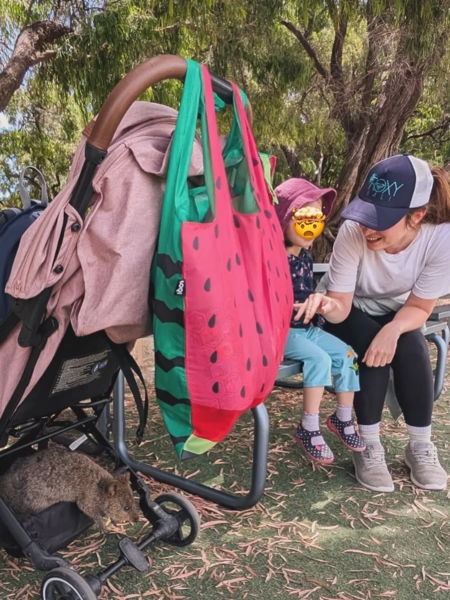 Ein Quokka hüpft in Avas Buggy, um zu prüfen ob es im hier Snacks oder Krümel gibt