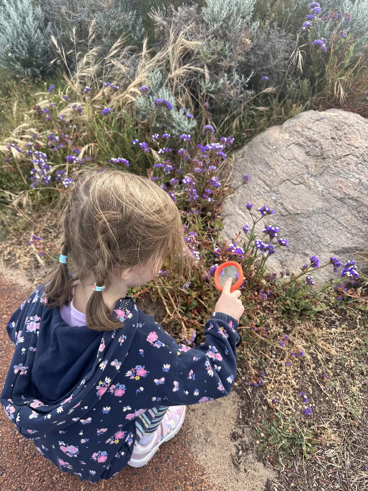 Eltern-Tipp: Kauft eine kleine Lupe, das macht jeden Ausflug spannender