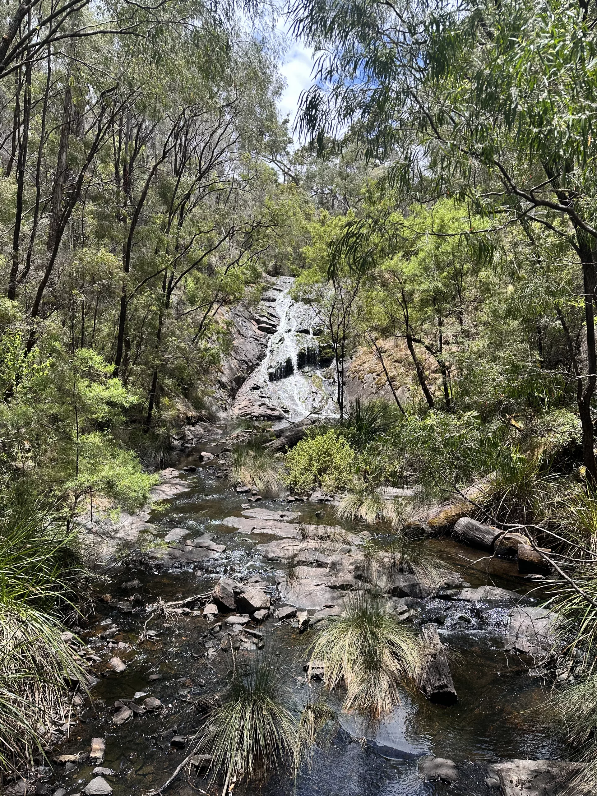 Wir schauen uns unterwegs die Beedelup Falls an
