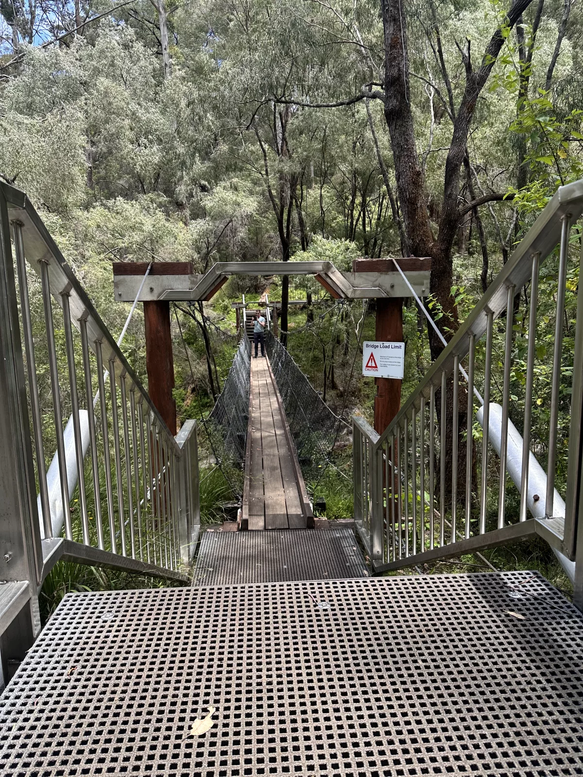 Die Hängebrücke an den Beedelup Falls trägt max. 5 Personen, weil sie so schwankt