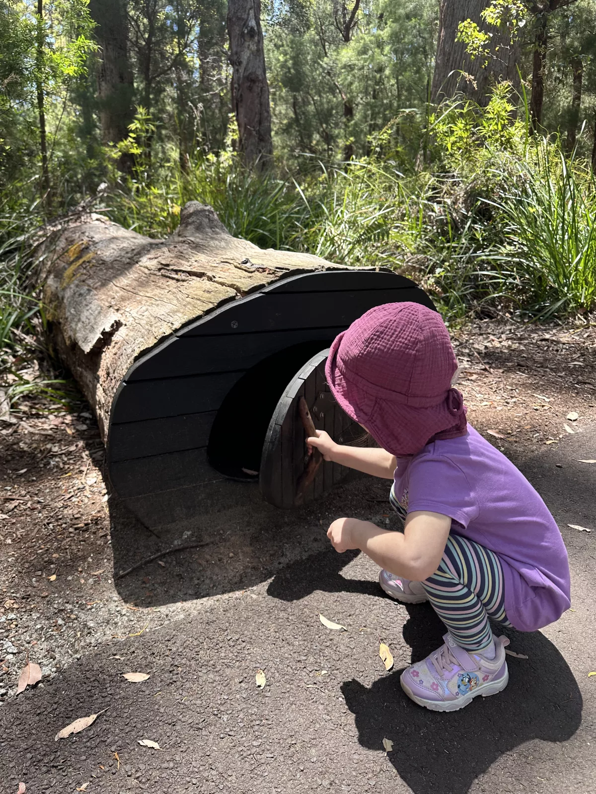 Highlight beim Spaziergang mit Kind: die versteckten Feentüren