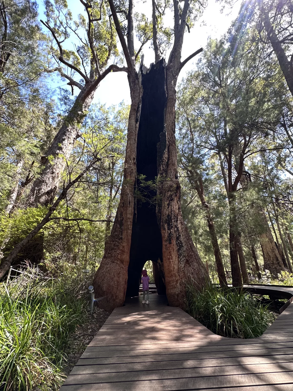 Der kostenfreie Ancient Empire Walk ist auch sehr zu empfehlen